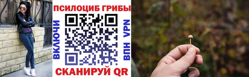 blacksprut ONION  цены наркотик  Белореченск  Псилоцибиновые грибы Magic Shrooms 