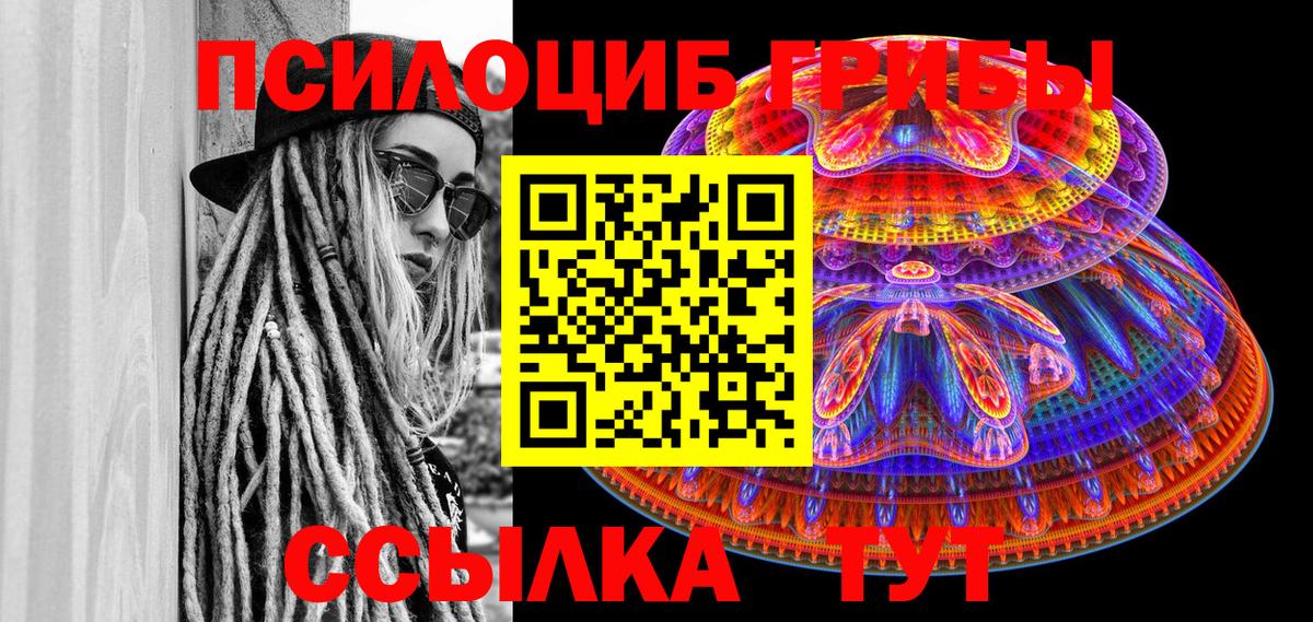 Псилоцибиновые грибы Psilocybe Белореченск